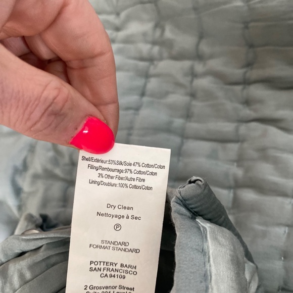 Pottery Barn Silk Pillow Shams - Standard (Set of 2) - Picture 3 of 3